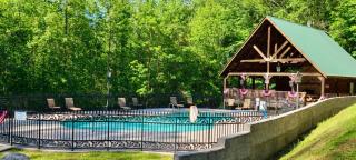 Bear View - Townsend - 2