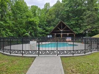Bear View - Townsend - 1