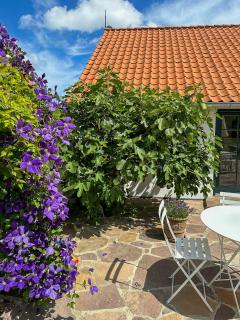 Farmhouse Style Near Balka Beach With Tennis Court - Neksø - 3