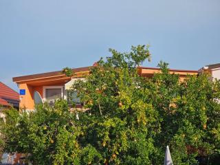 Apartman Fišer - 7