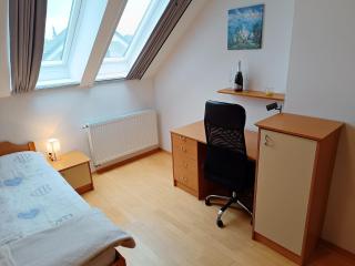 Orchid room for 2, Skylight room for 2 - Kranj - 9