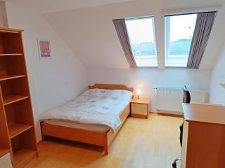 Orchid room for 2, Skylight room for 2 - Kranj - 6