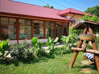Vila Speranta - Pleşcoi - 8