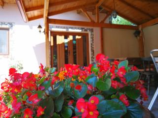 Pensiunea Speranta - 5