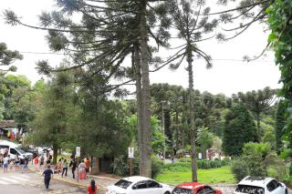 Suíte Gramado: Lazer, família + 1 ticket - Gramado - 5