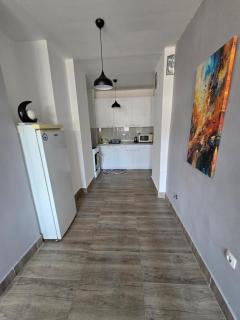 City Center Apt WFree P - Skopje - 5