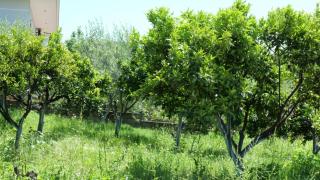 Franko - Delvinë - 4
