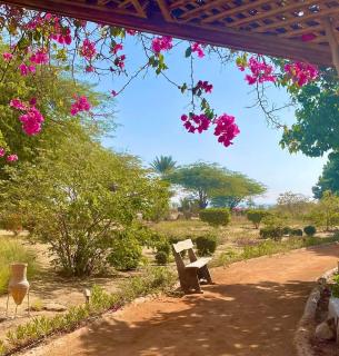 3 BR Sunset Haven by the Sea - Ain Suchna - 5