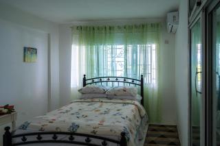 The Carhampton Villa - Montego Bay - 8