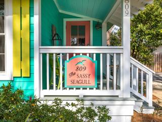 Sassy Seagull - Tybee Island - 7