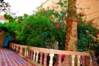 Sunny City Villa with a Garden - 5