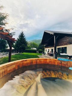 Artizan Chalet - Topliţa - 9
