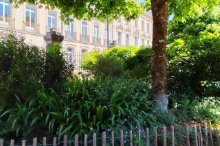 Bright 45m near the Palais Gallien - Bordeaux - 2