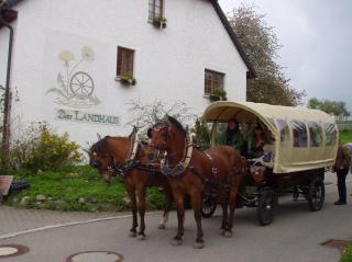 Hotel Das Landhaus - Höchenschwand - 1