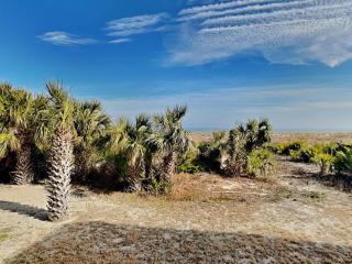 Ocean Song 312 - Tybee Island - 1