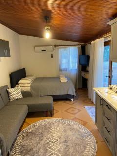 Arya nature çiftlik - Marmaris - 2