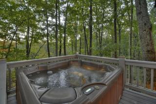 Hygge Haus Rustic charm cozy beds and a serene location - Ellijay - 3