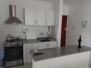 Departamento céntrico en cercanía al Rio Paraná - Rosario - 0