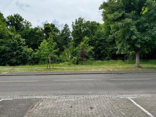 Logement en face du Parc - Obernai - 2