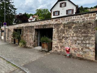 Logement en face du Parc - Obernai - 3