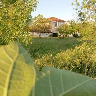 O toxal - Monforte de Lemos - 9