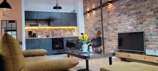 Loft Manufaktura Grossa - Bielsko-Biała - 4
