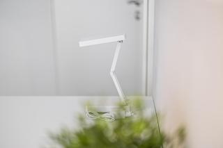 2 LH 6-Schlafzimmer-Apartment - Halle an der Saale - 9