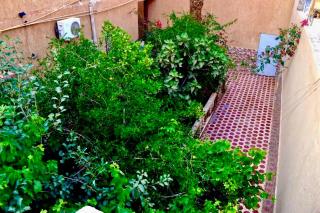 Sunny City Villa with a Garden - Erfoud - 0