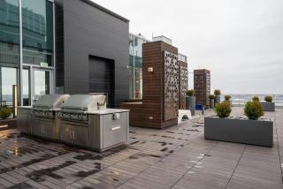 N Station 1BR w Gym WD nr TD Garden BOS-640 - Boston - 9