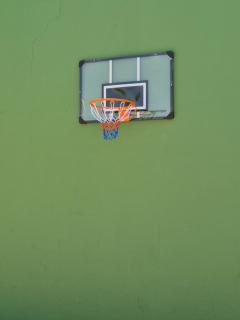 Casa Rural Los Rosales en el Corazon de la Mancha - 8