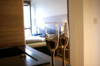 Abis Ferienwohnung Salzkammergut - 2