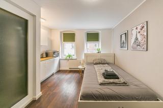 1 LH 9-Zimmer-Apartment HBF - Halle an der Saale - 4