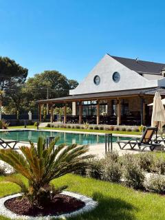 Grape Hotel - Ezine - 8