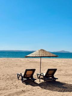 Grape Hotel - Ezine - 2