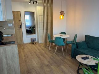 Apartament 49 - Toruń - 6