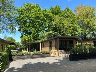 Schitterend 6 persoons chalet met HOTTUB in de bossen van Putten - Putten - 0