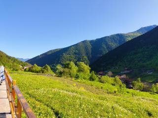 Çay Pansiyon - Uzungöl - 5