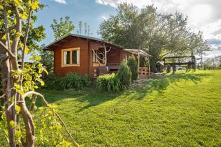 Cozy wood hut on the farm - Třebívlice - 9