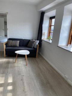 Apartment #1 with Wifi, close to city center, Beach and forrest - Åbenrå - 4