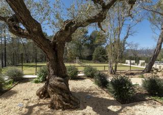 ReadHostProfile! 4-Bedroom Provence Luxury Villa with Pool - Beausoleil - 6
