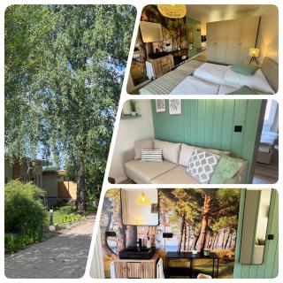 Bungalow Green Forest - Benz - 0