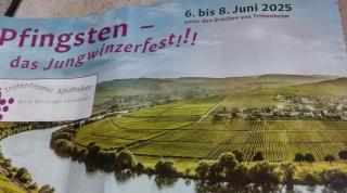 Ferienhaus Mosel/Trittenheim - Trittenheim - 9