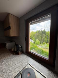 Villa Nur Lakeview Dreams - Mavrovo - 8