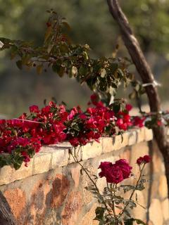 Belvedere Hotel & Suites - Himare - 7