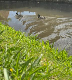 Chalet de charme en pleine ville - 5