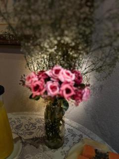 Skalla Hotel Nova Odessa - 1