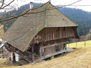 Holiday Home in Black Forest with Sauna - Berneck - 5