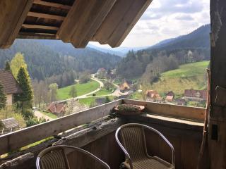 Holiday Home in Black Forest with Sauna - Berneck - 6