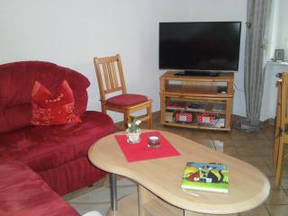 Apartment in Hüttenthal near Lake & Nature - Mossautal - 3
