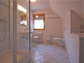 Apartment in Freiburg near Scenic Lake - Schallstadt - 5